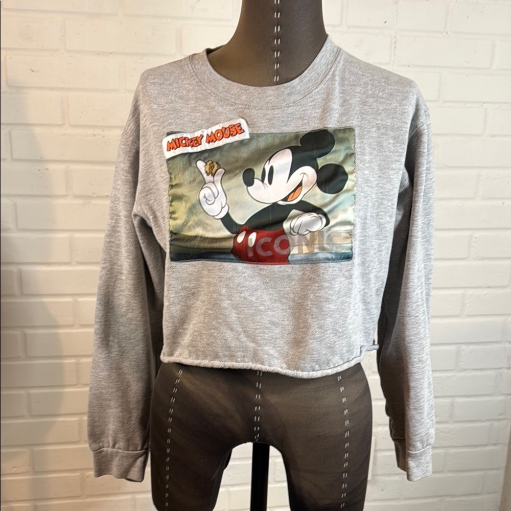 Disney Gray Sweatshirt